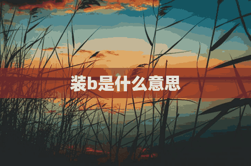 装b是什么意思(装b是什么意思b是什么)